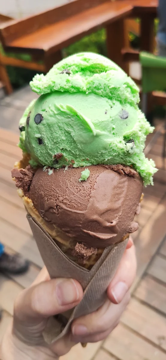 Mint Choc Chip and Chocolate Ice Cream in Waffle Cone