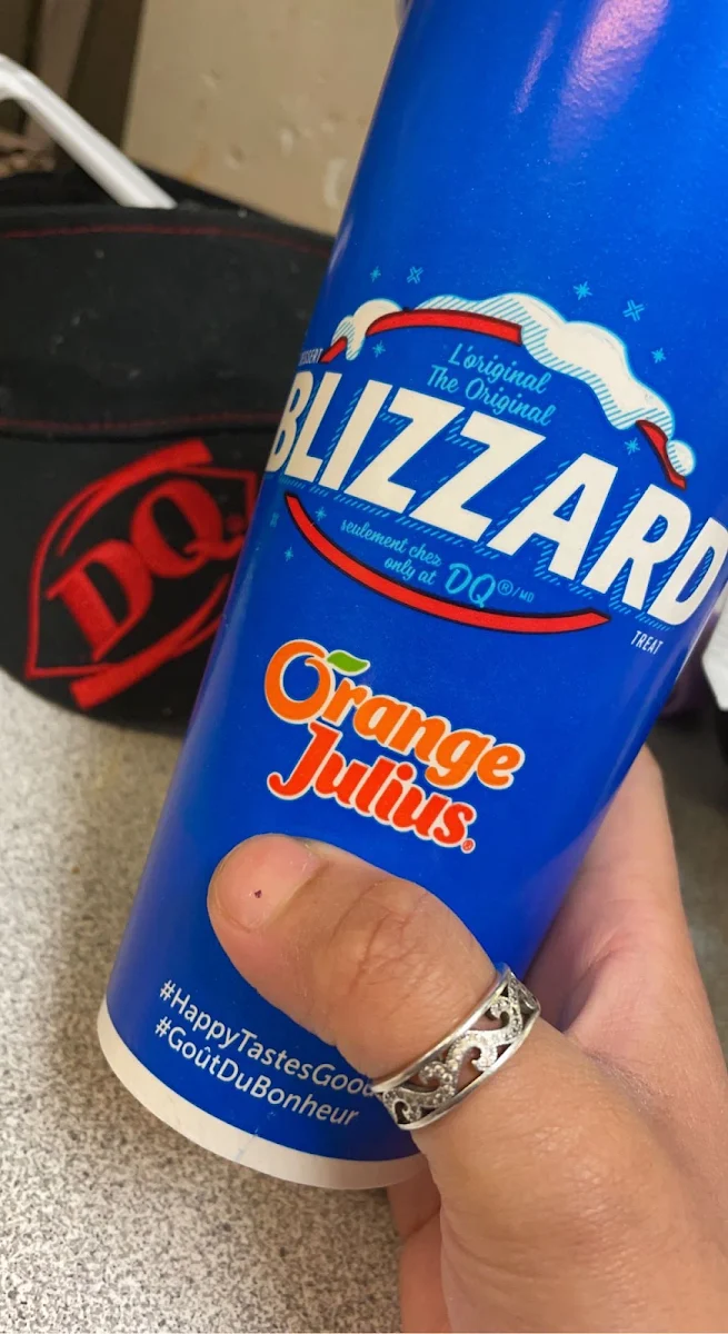 Mint Oreo Blizzard Treat