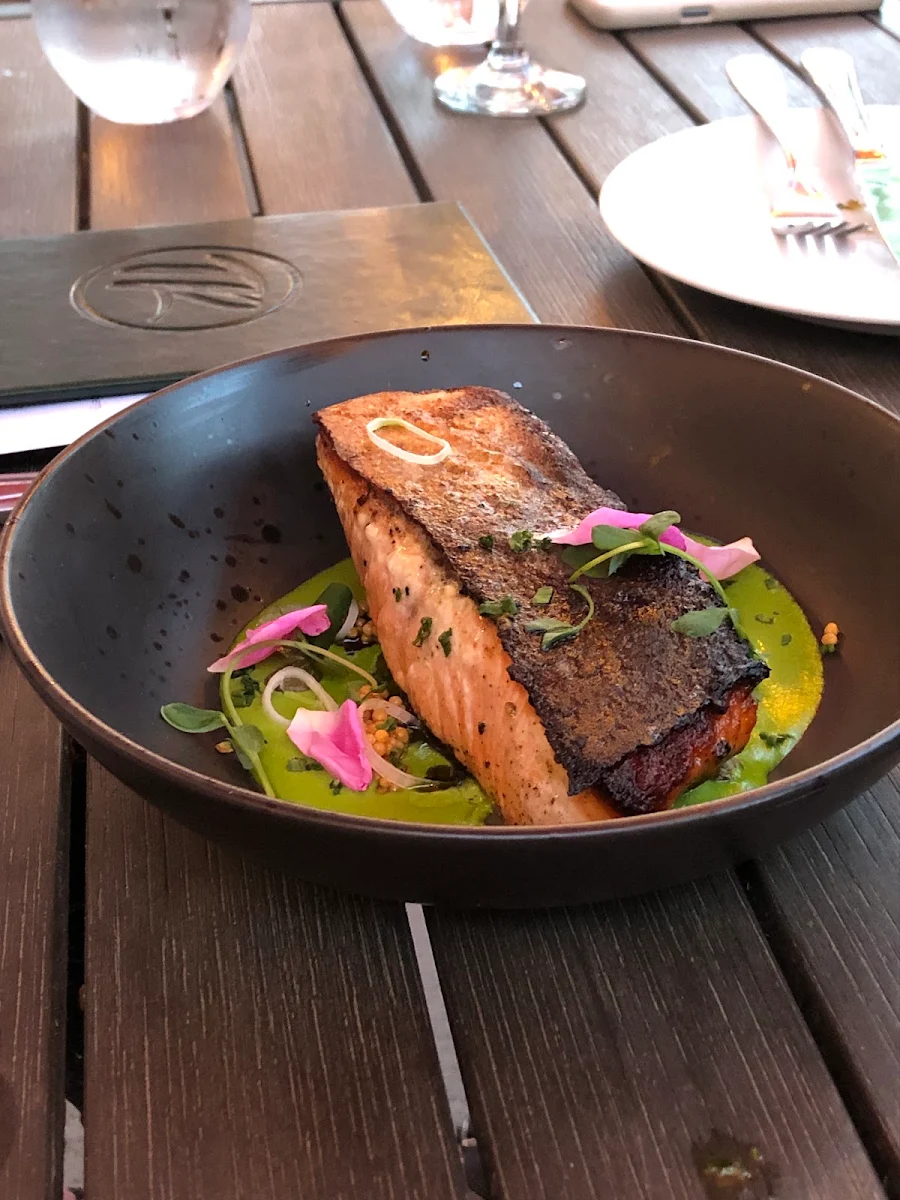 Arctic Char