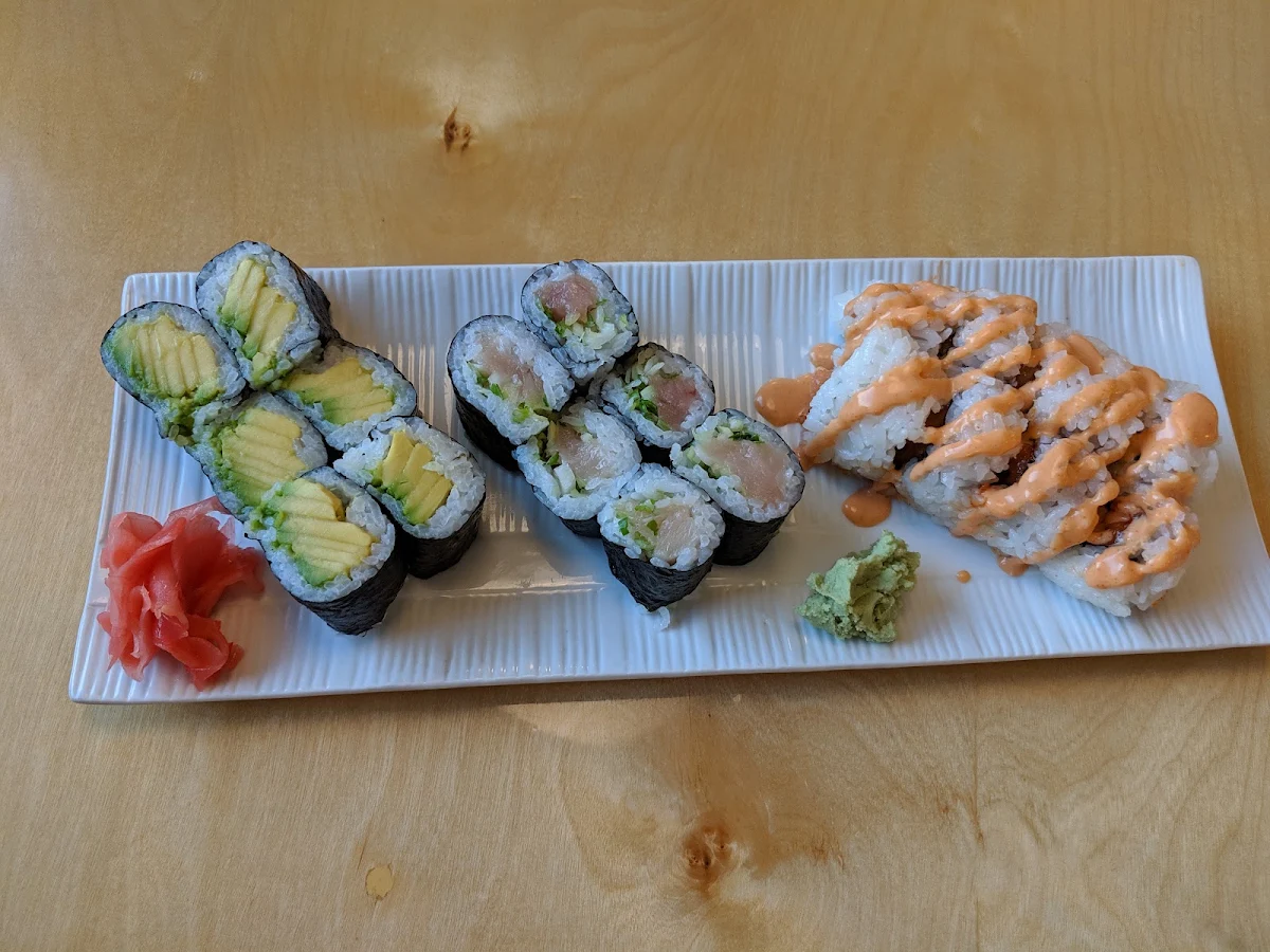 Avocado Roll Negitoro Roll and Spicy Salmon Roll