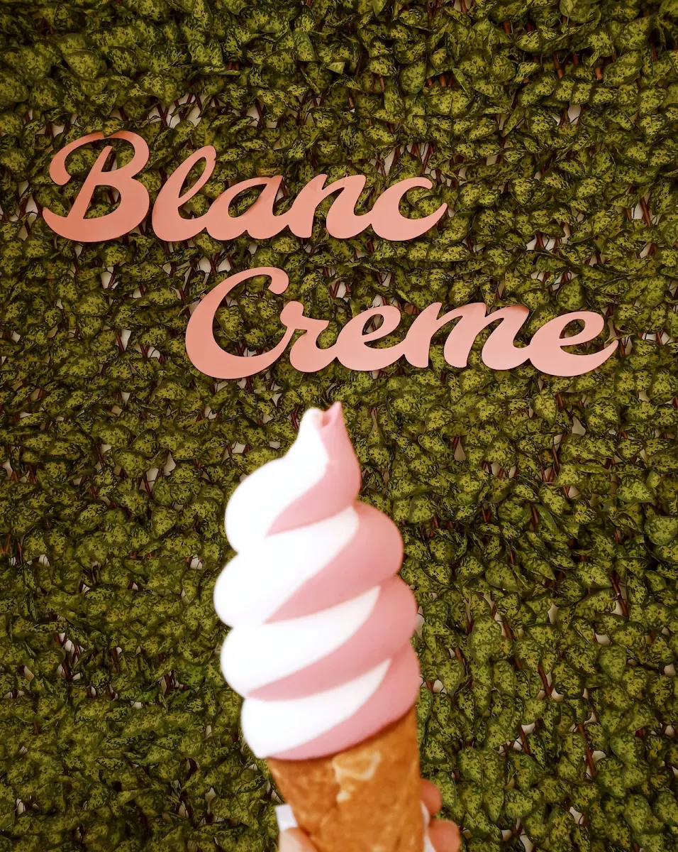 Crème Glacée Maison Vanille Et Sorbet Cerise