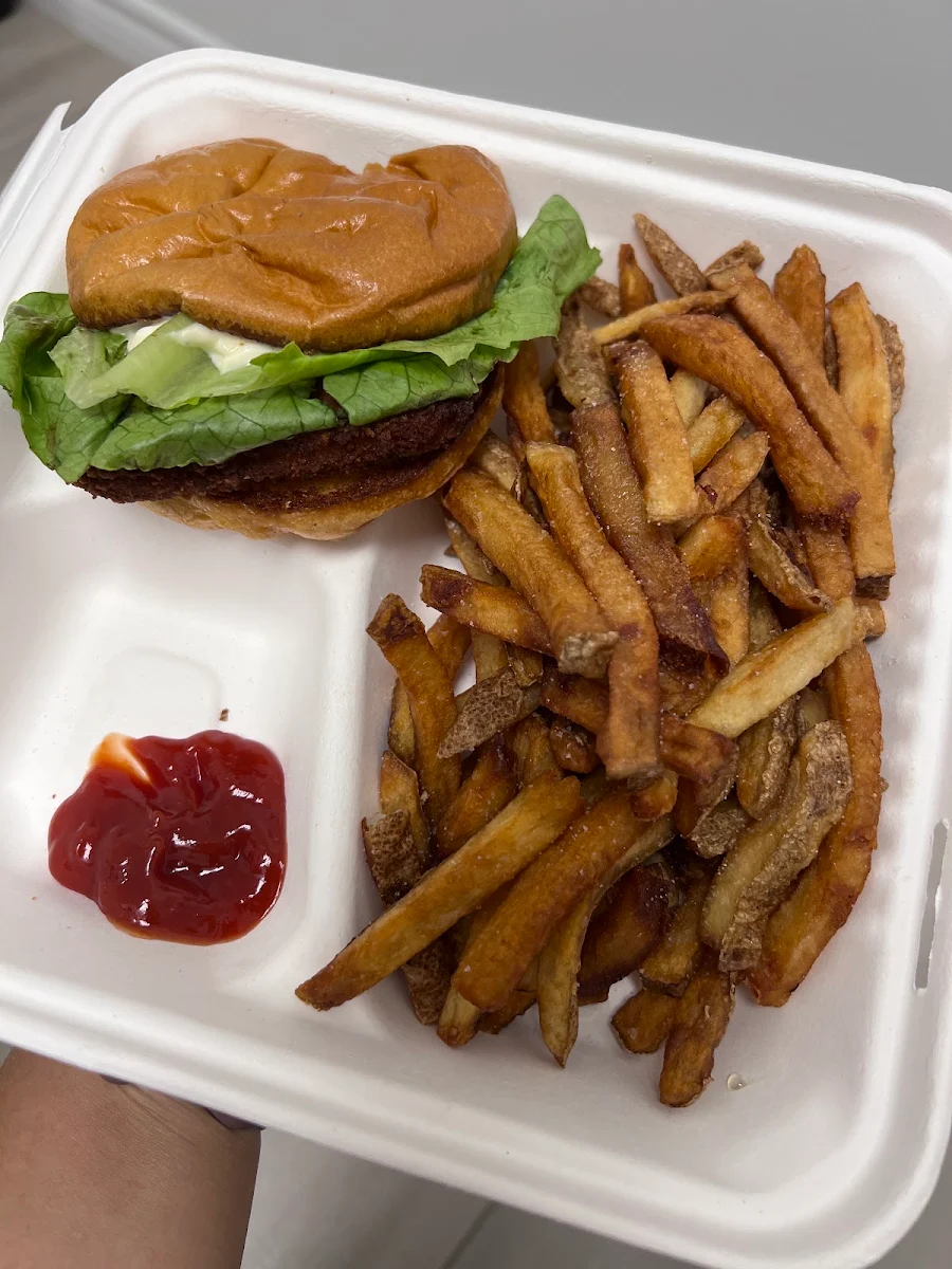 Chicken Burger and Fries