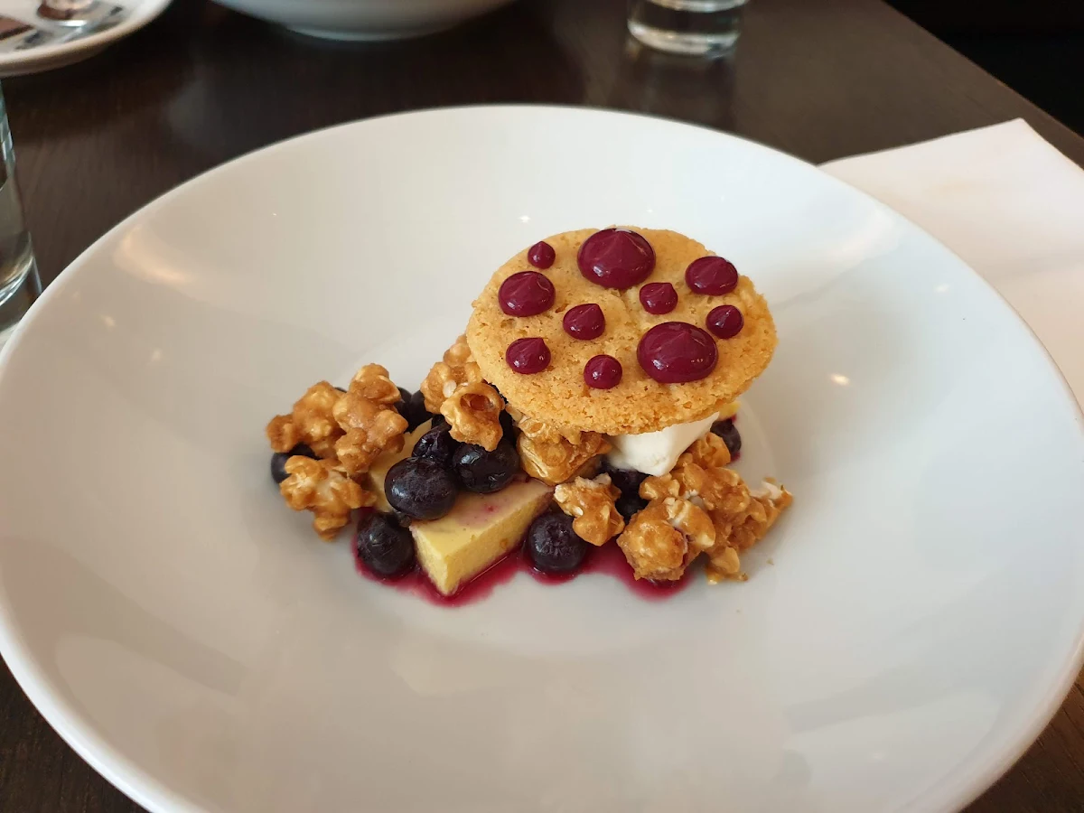 Catmeal Cookie Panna Cotta