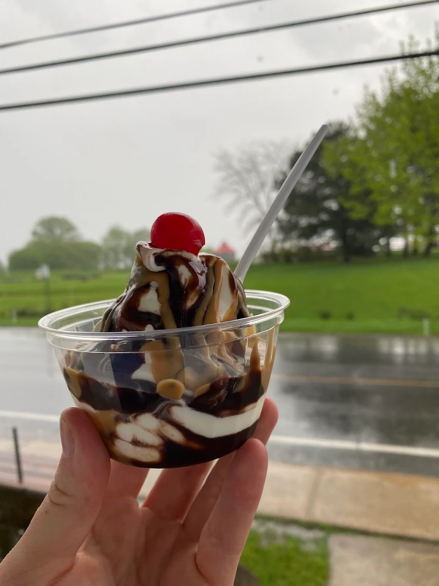 Coupe Glacée Sundae