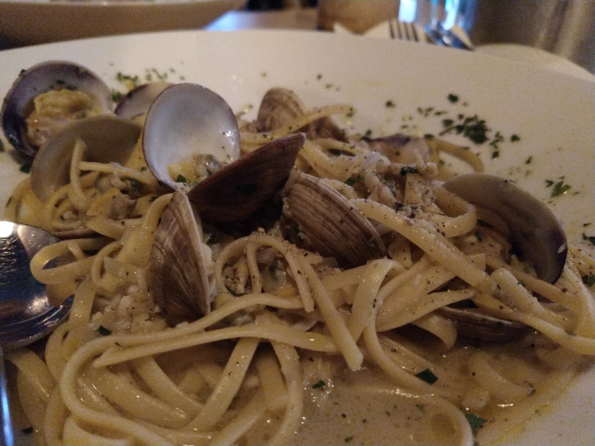 Linguine & Clams White