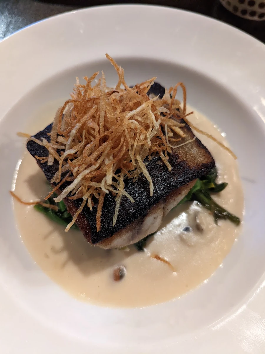 Black Cod