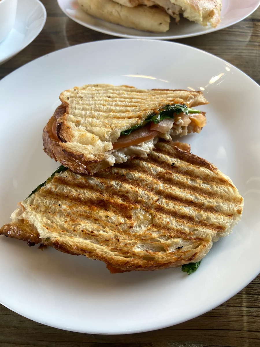 Club Chicken Panini