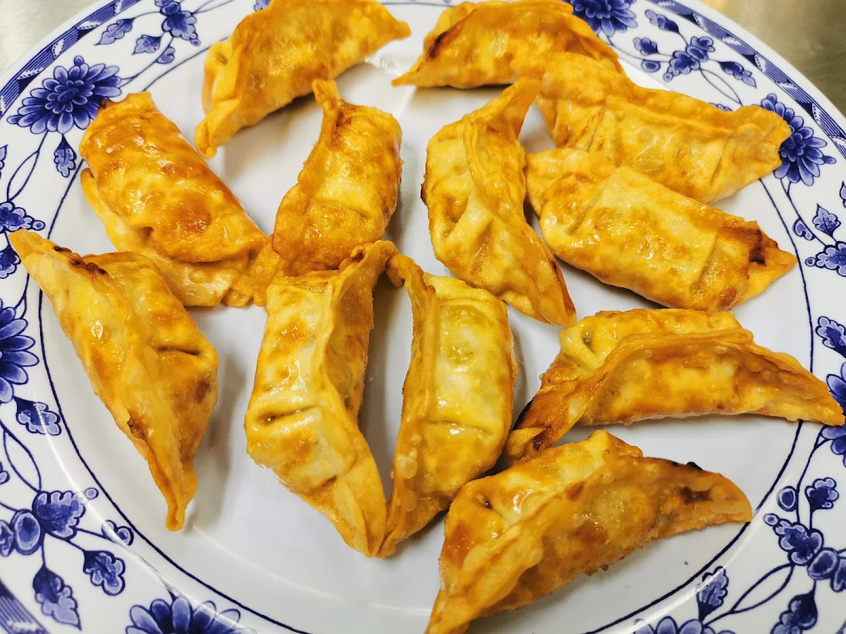 Fried Dumplings