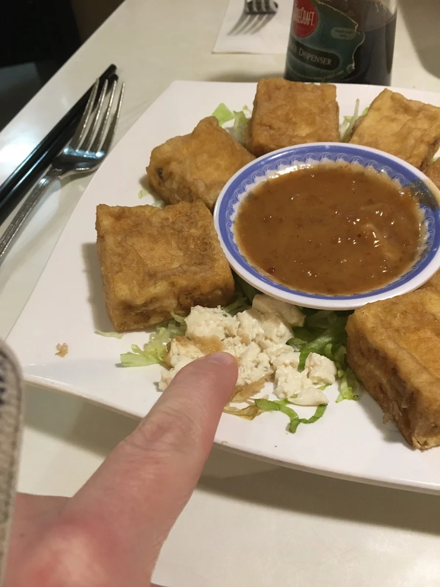 Deep Fried Golden Tofu