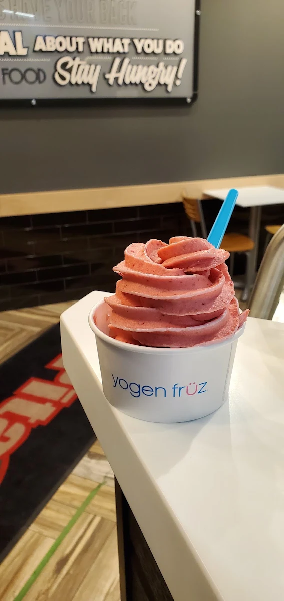 Frozen Yogurt