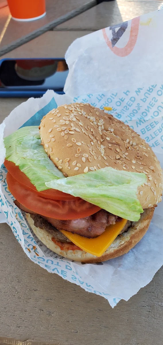 Teen Beef Burger
