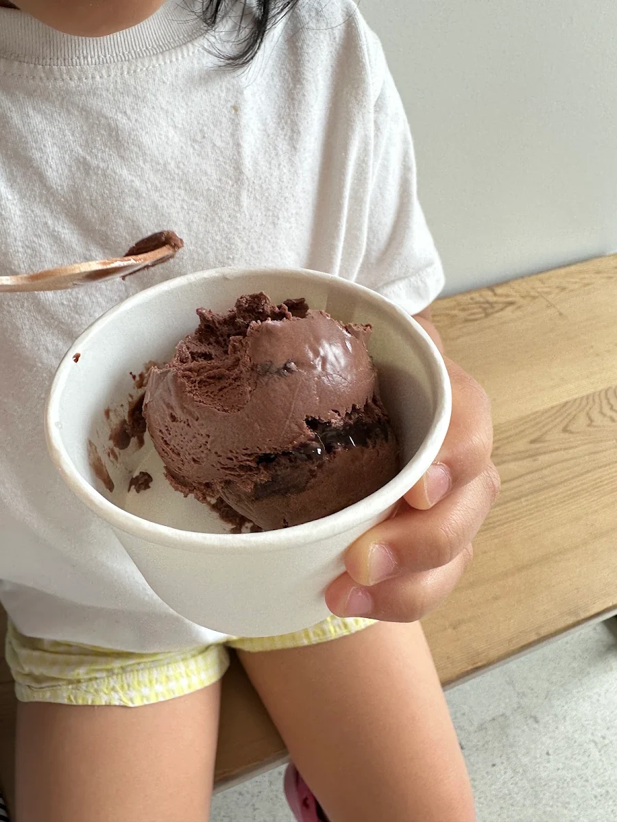Chocolate Fudge