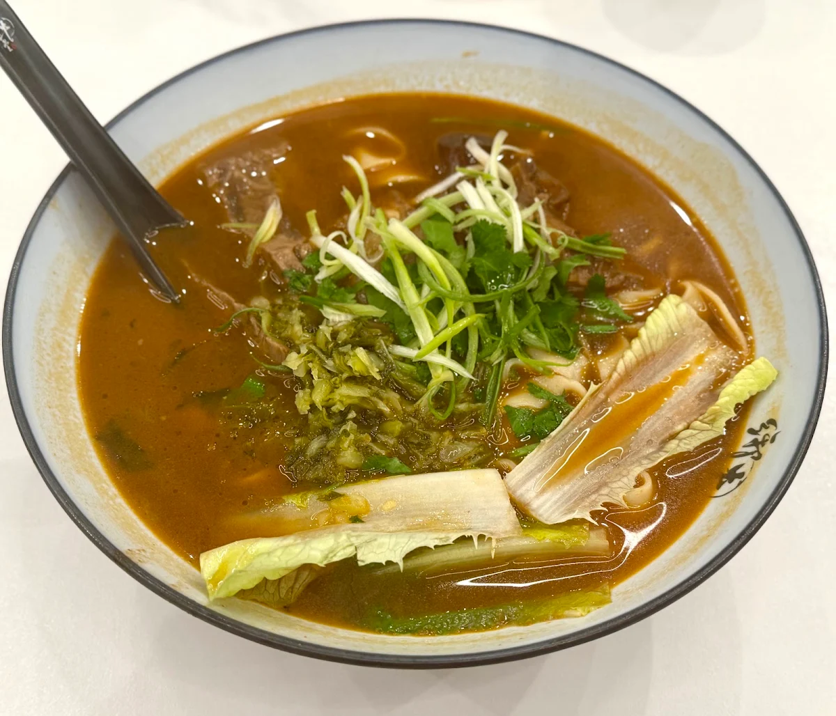 Beef & Tendon Noodle Soup
