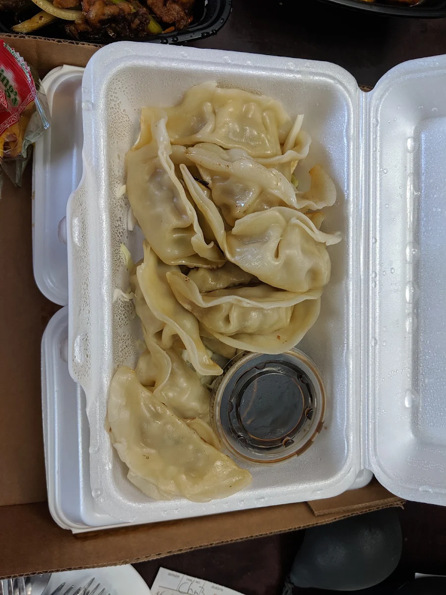 Grilled Pork Dumplings
