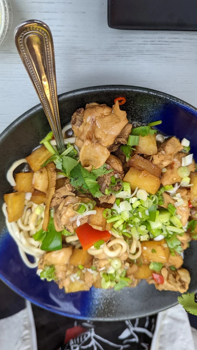 Braised Chicken Noodle