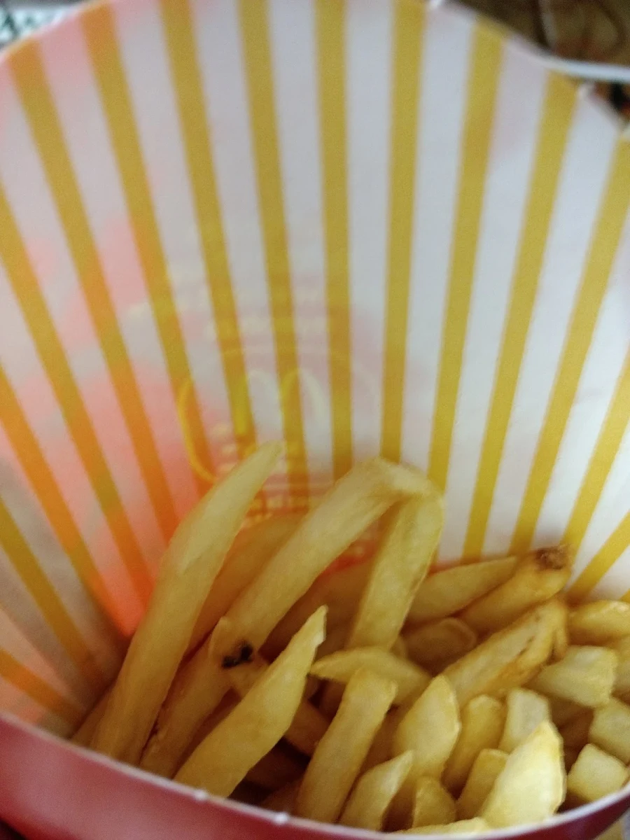 World Famous Fries – Small