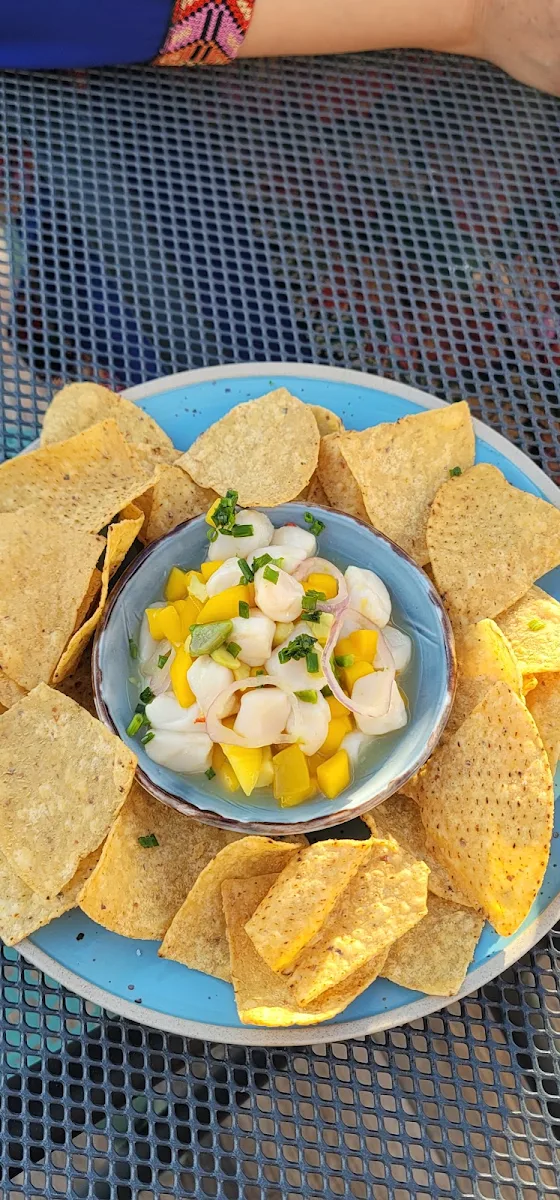 Calamari Salad