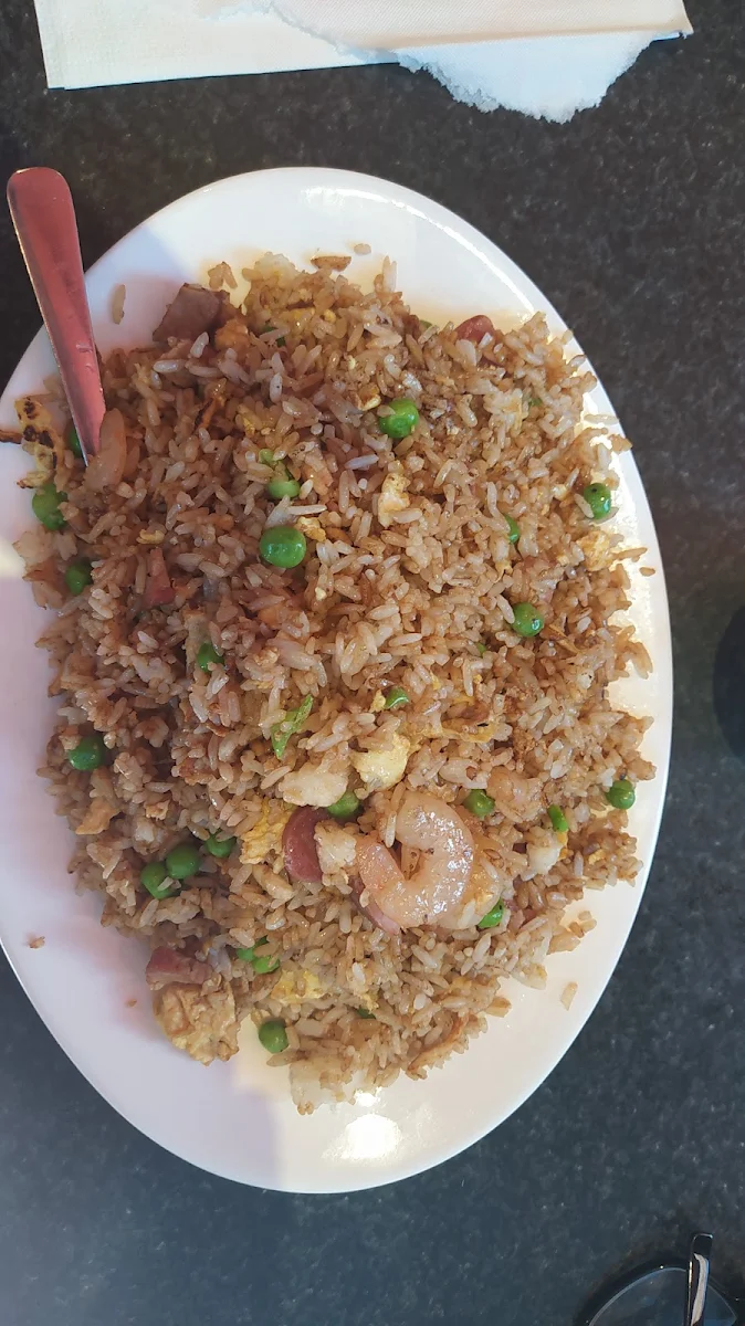 House Special Fried Rice Yang Chow