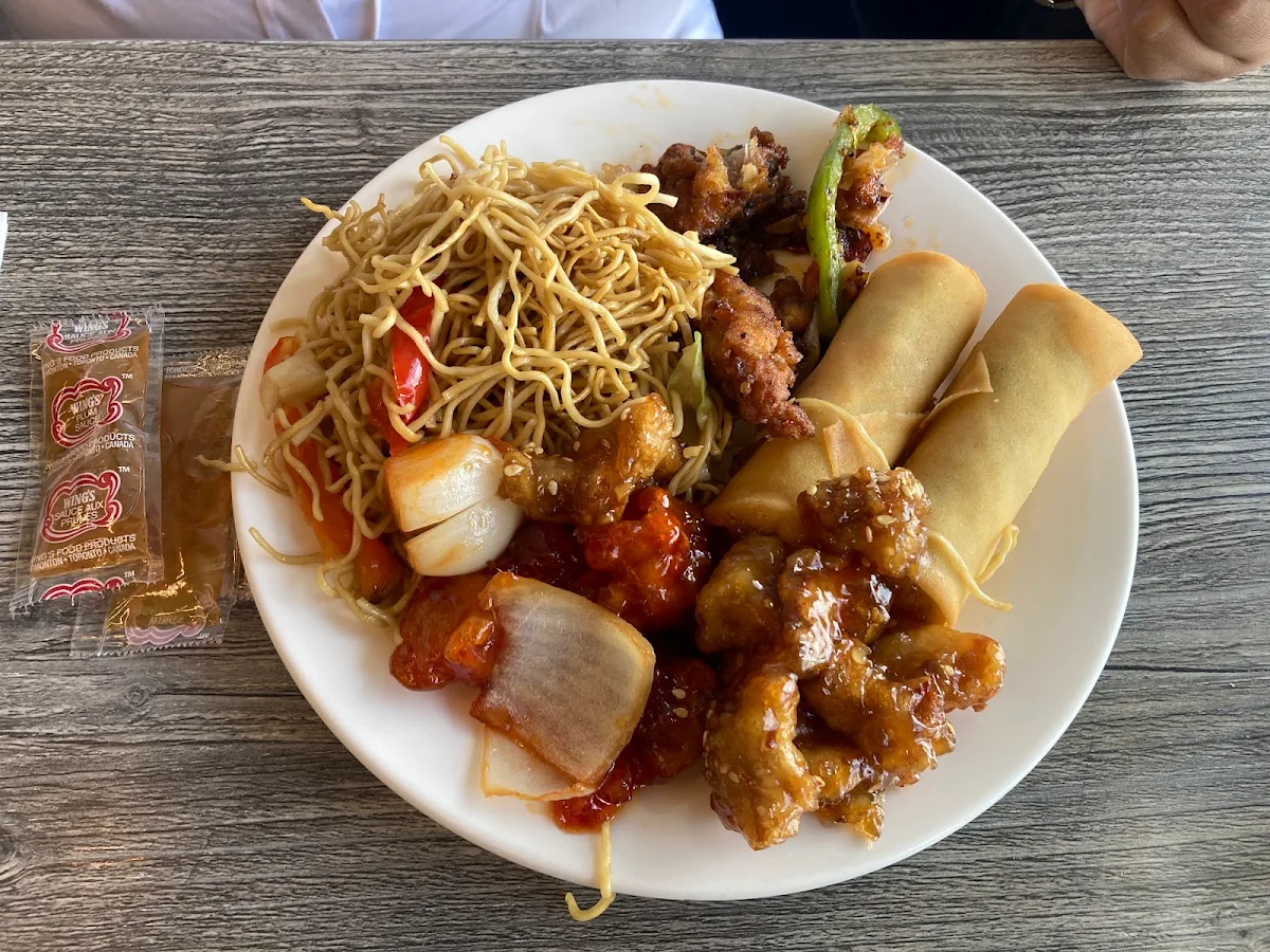 Vegetarian Chop Suey Spring Rolls
