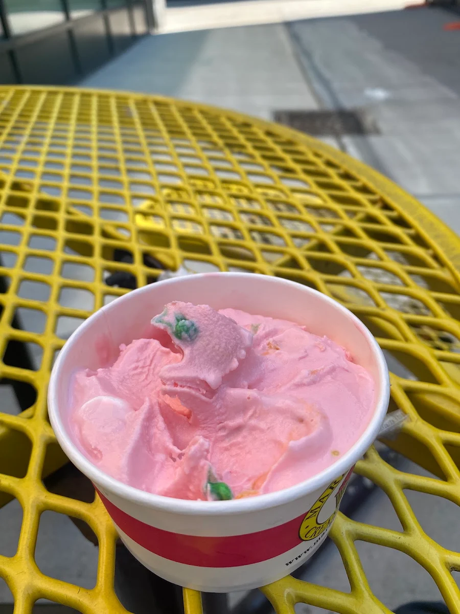 Cotton Candy Ice Cream with Sprinkles