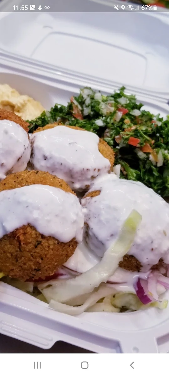 Assiette Falafel Falafel Plate