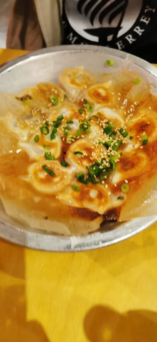 Chicken Dumplings