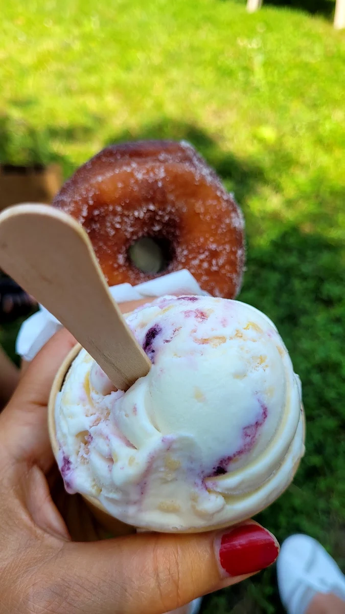 Ice Cream Cone