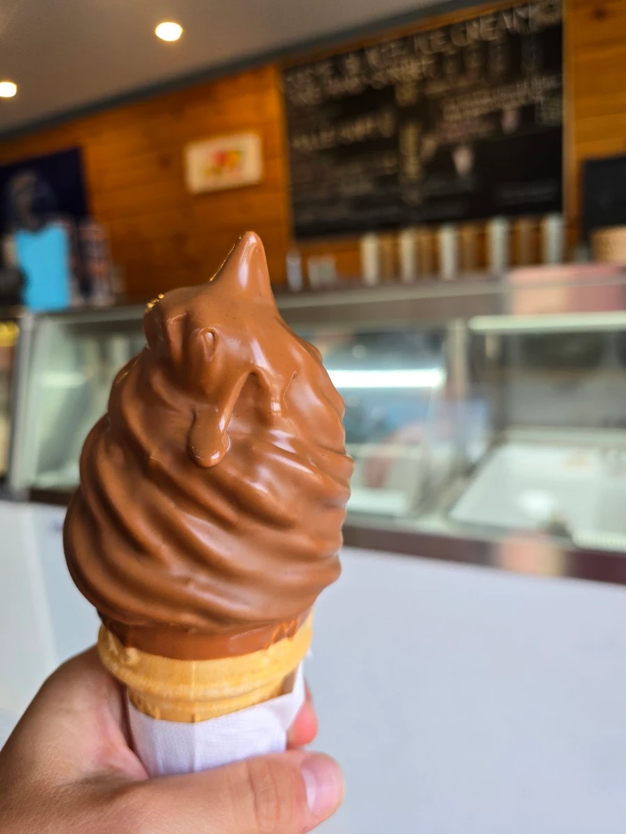 Soft Ice Cream with Dark Chocolate Dip