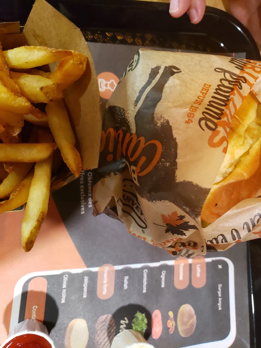 Burger and Fries