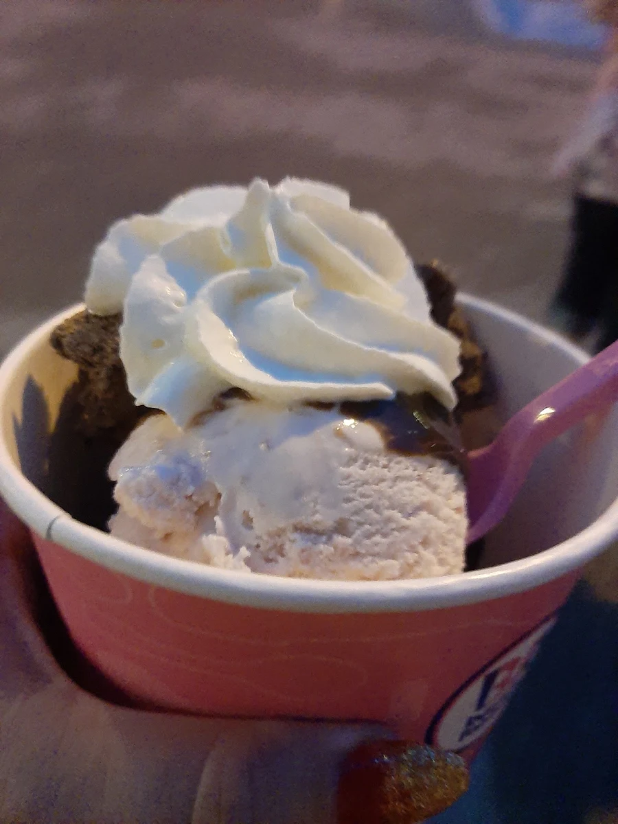 Vanilla Frozen Yogurt