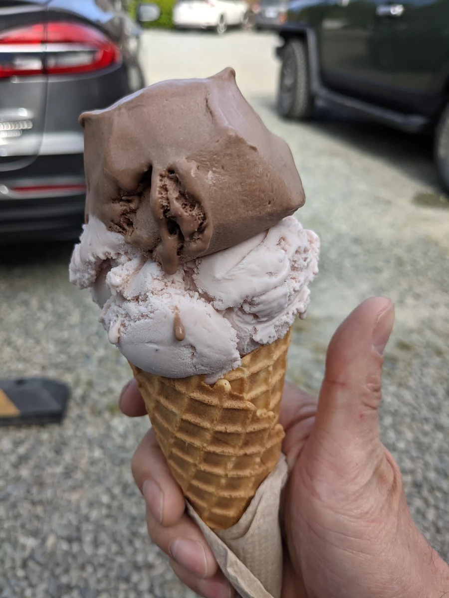 Chocolate Coconut Wild Berries