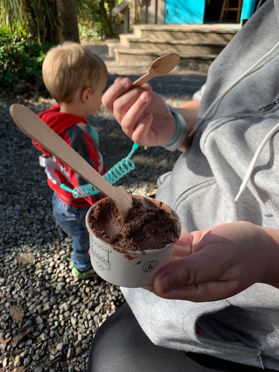 Chocolate Ice Cream