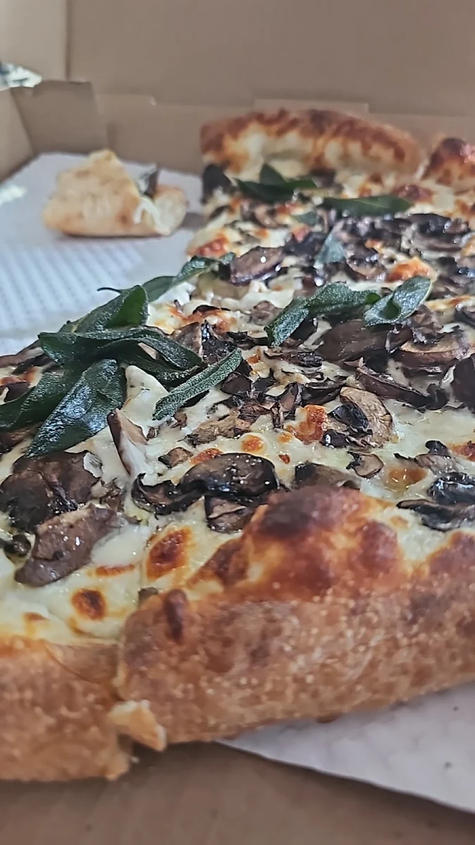 Mushroom Pizza