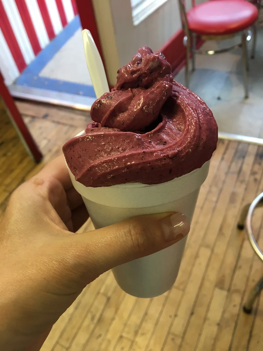 Raspberry Frozen Yogurt