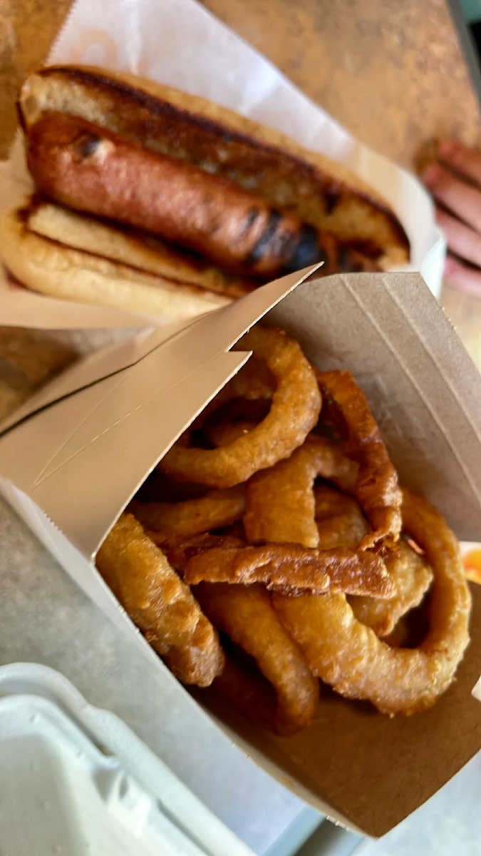 Hot Dog and Onion Rings