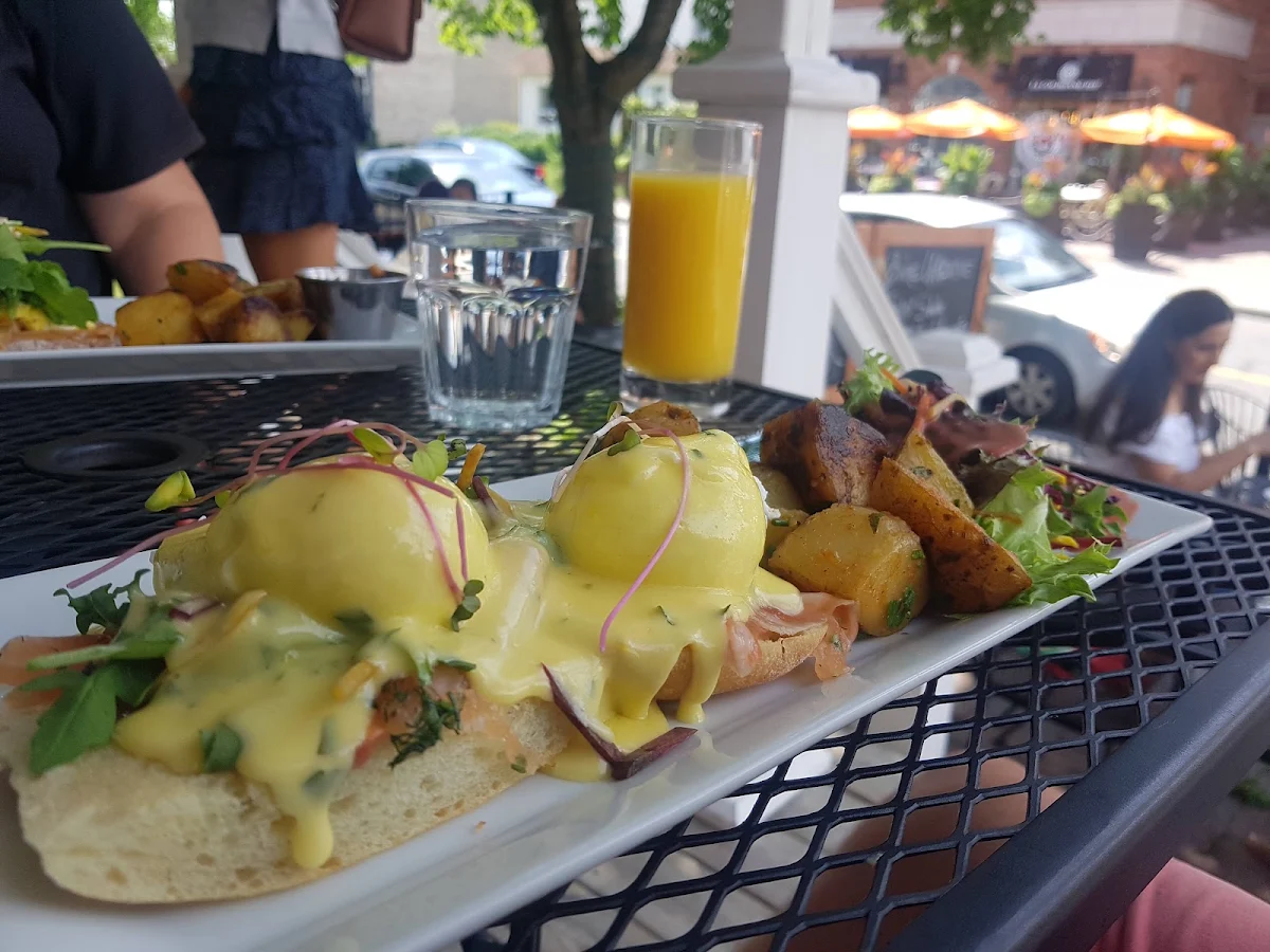 Poached Eggs Benedict