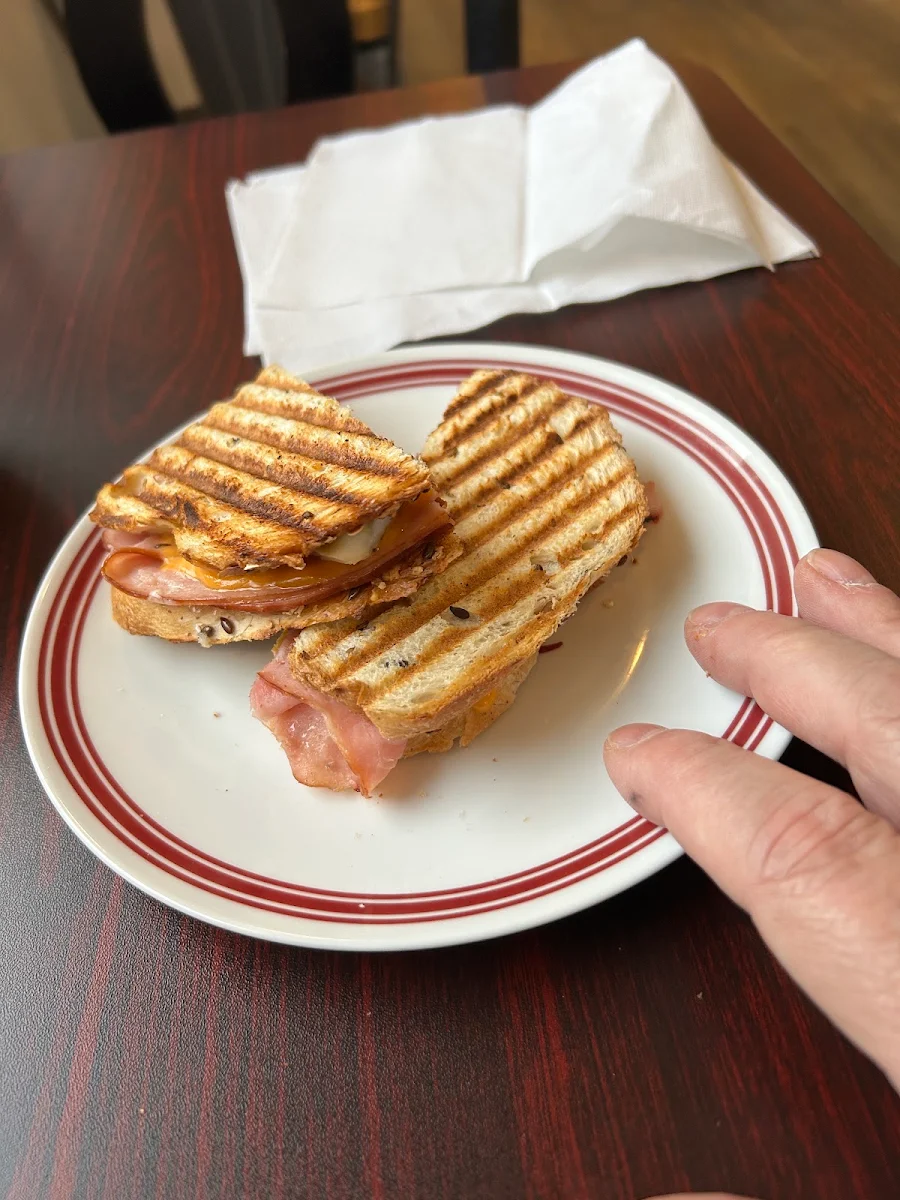 Ham & Swiss Panini
