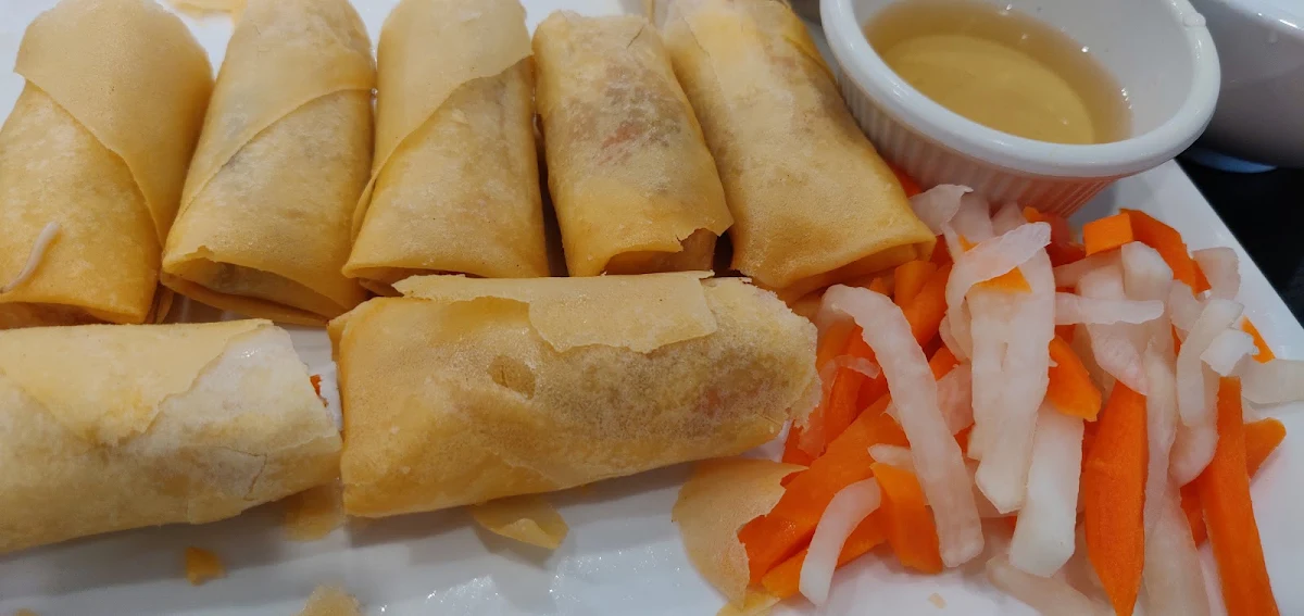 Crispy Veggie Spring Rolls