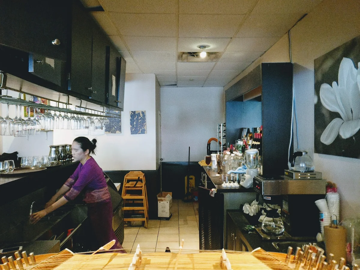 Vibe, Thai House Cuisine