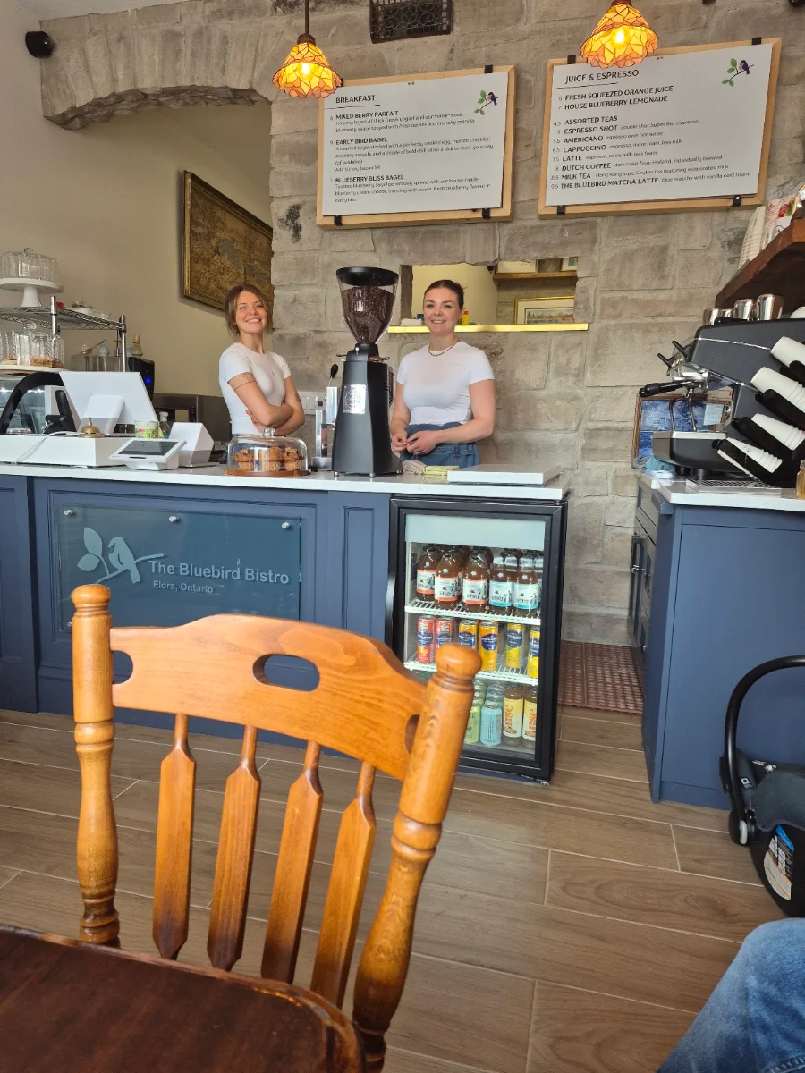 Vibe, The Bluebird Bistro Elora