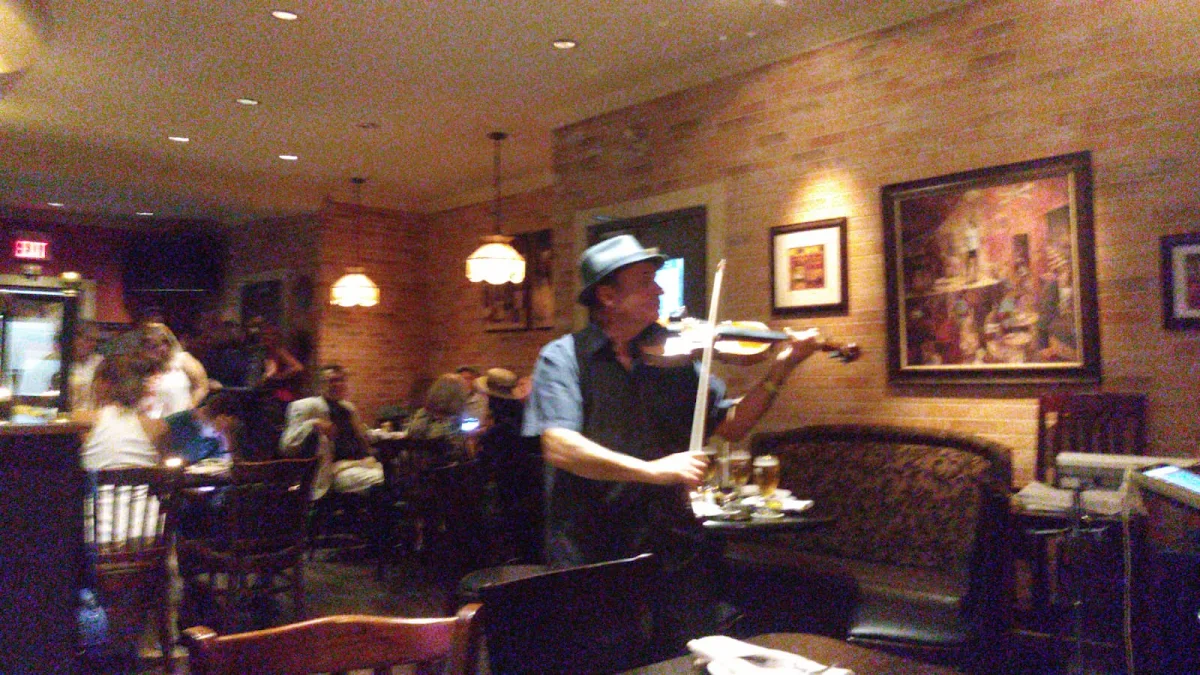 Vibe, California Restaurant & Bar