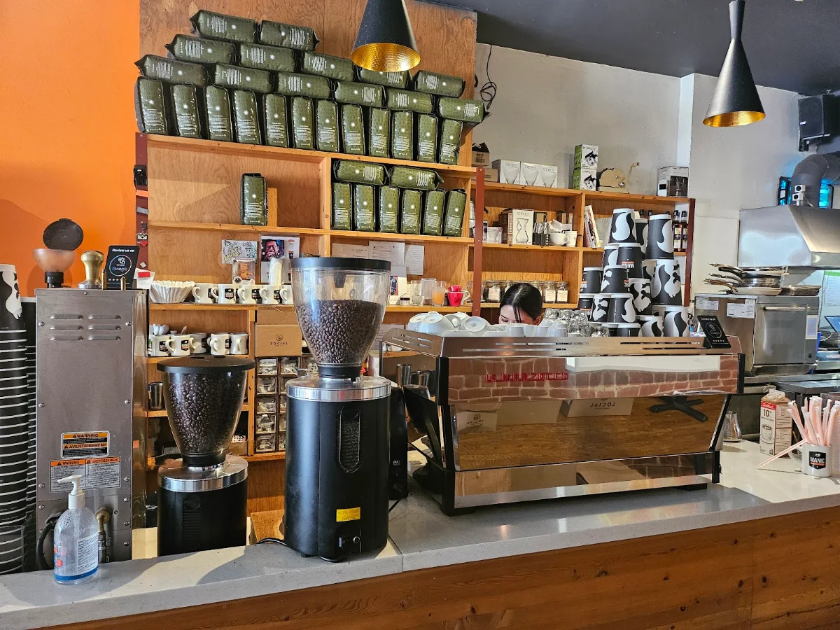 Vibe, Manic Coffee