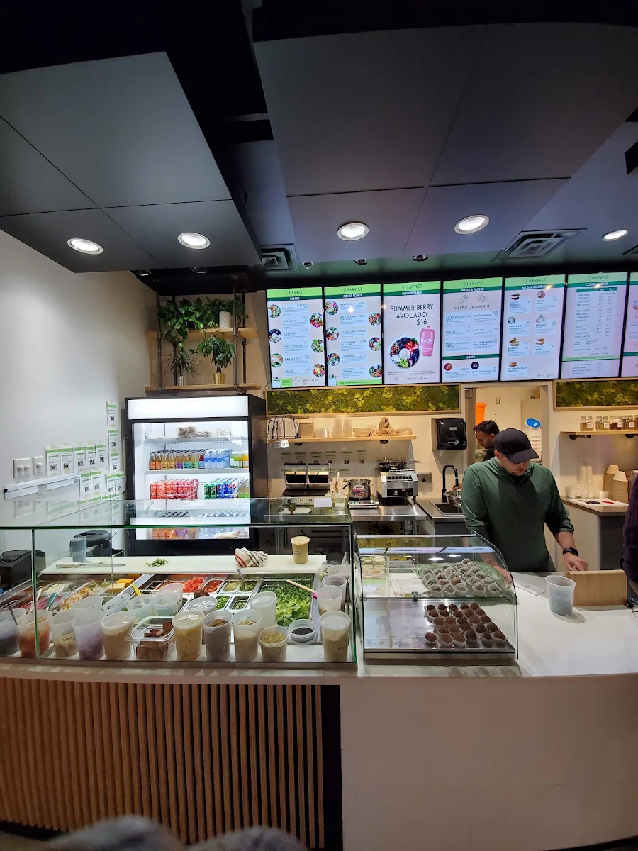 Vibe, HARVEST | Clean Eats (Bedford)