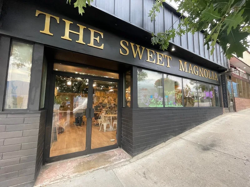 The Sweet Magnolia