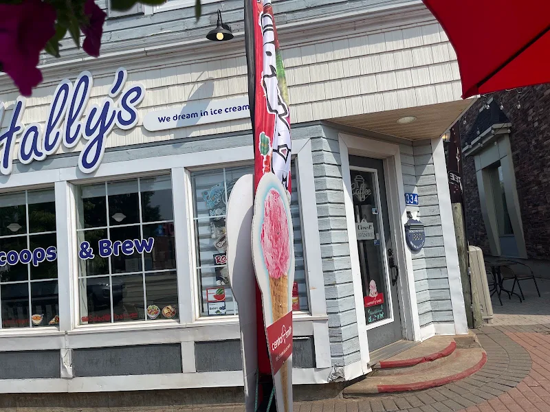 Hally’s Rolled Ice cream and Scoops