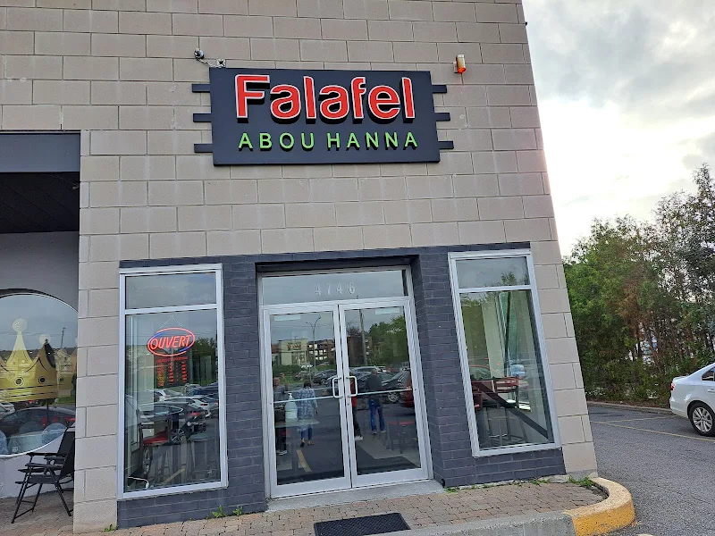 Falafel pita