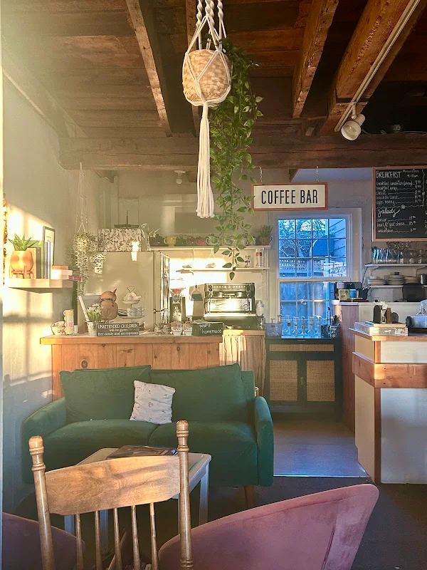 Lazy Daisy Café