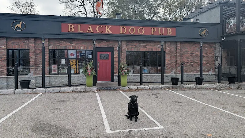 The Black Dog Pub
