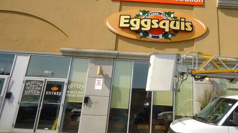 Eggsquis