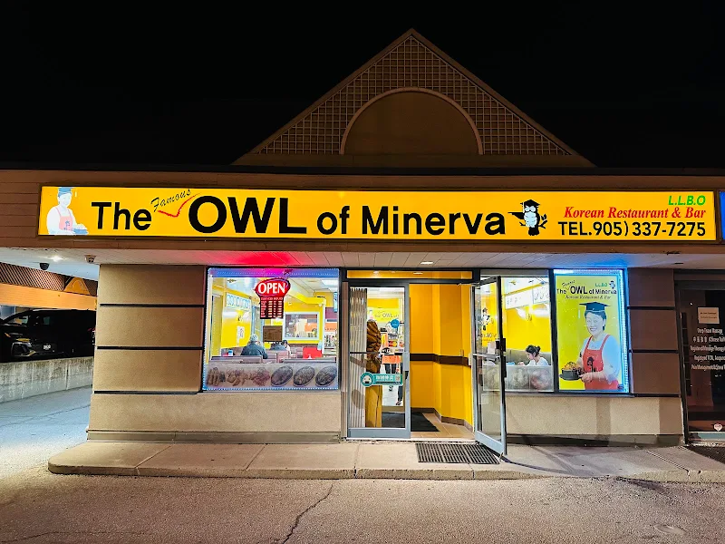 The Famous Owl of Minerva